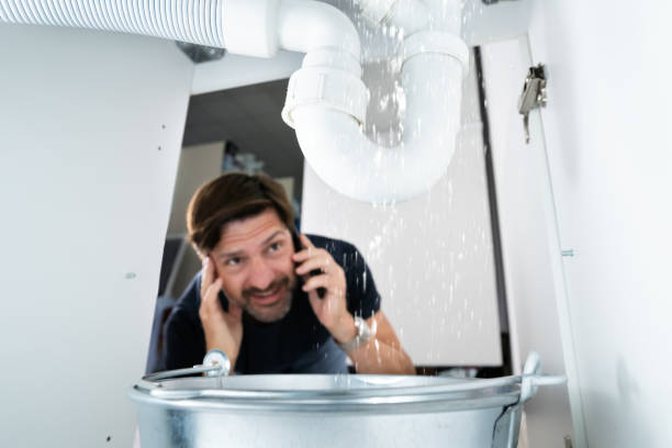 Best Affordable Plumbing Services  in Combee Settlement, FL