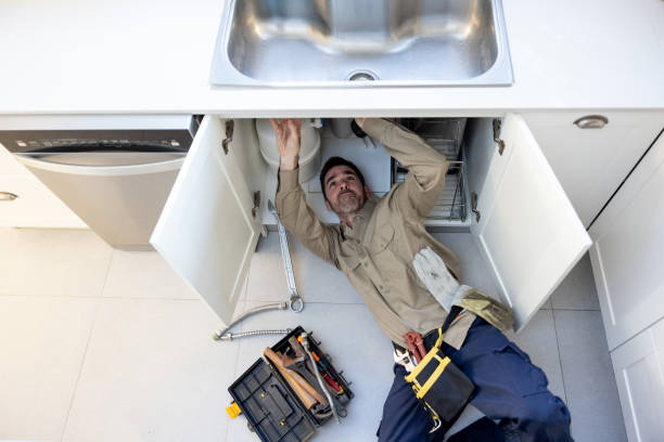 Best Plumbing Inspection Services  in Combee Settlement, FL