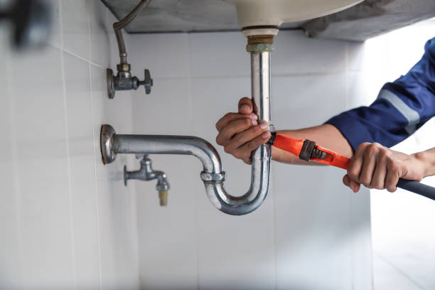 Best Water Softener Installation  in Combee Settlement, FL