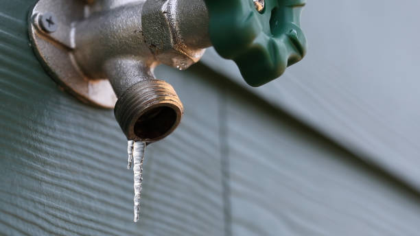 Best 24-Hour Plumber Near Me  in Combee Settlement, FL