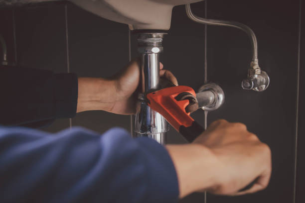 Best Plumbing Services Near Me  in Combee Settlement, FL