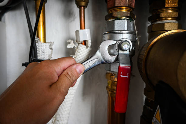 Best Plumbing Repair Near Me  in Combee Settlement, FL